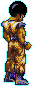bg.gif